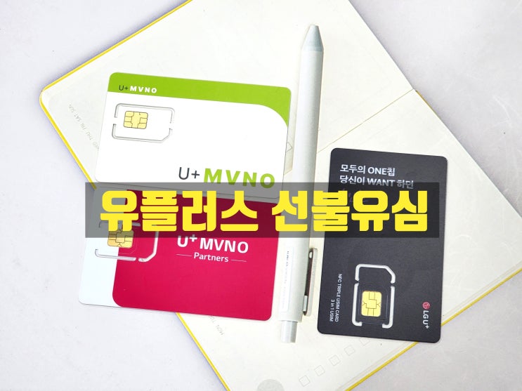  LG 유플러스 선불유심 셀프 개통 방법