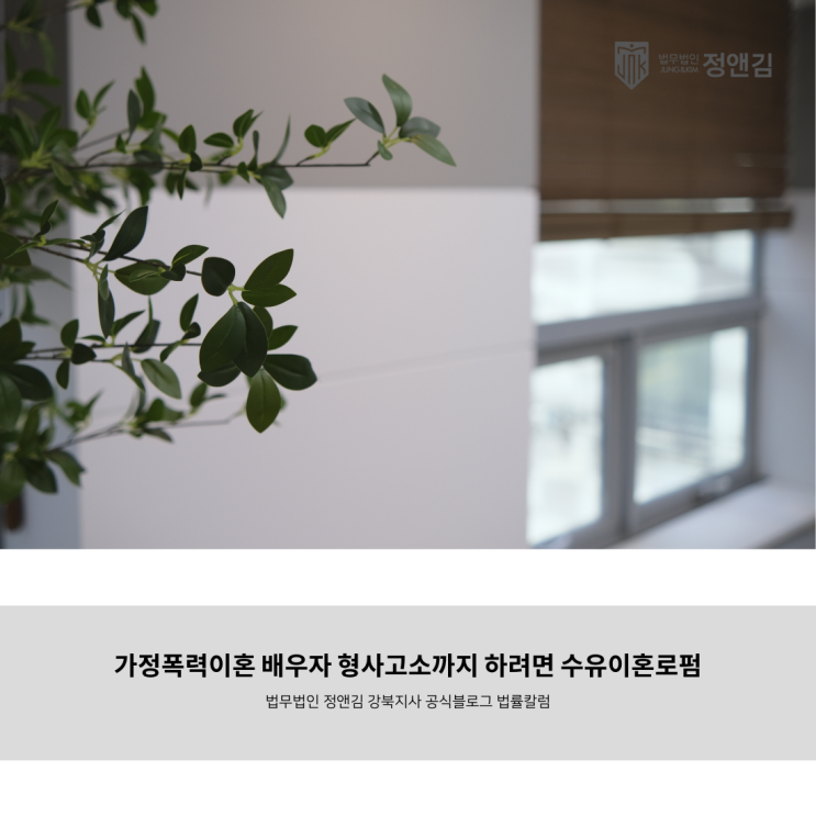  가정폭력이혼 배우자 형사고소까지 하려면 수유이혼로펌