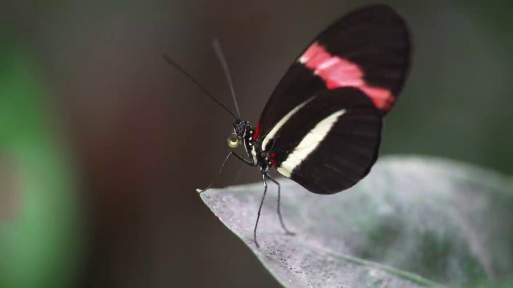  식육가공기사 2024 필기 식육가공기사 자격증 취득 알고 싶은 정보 여기에