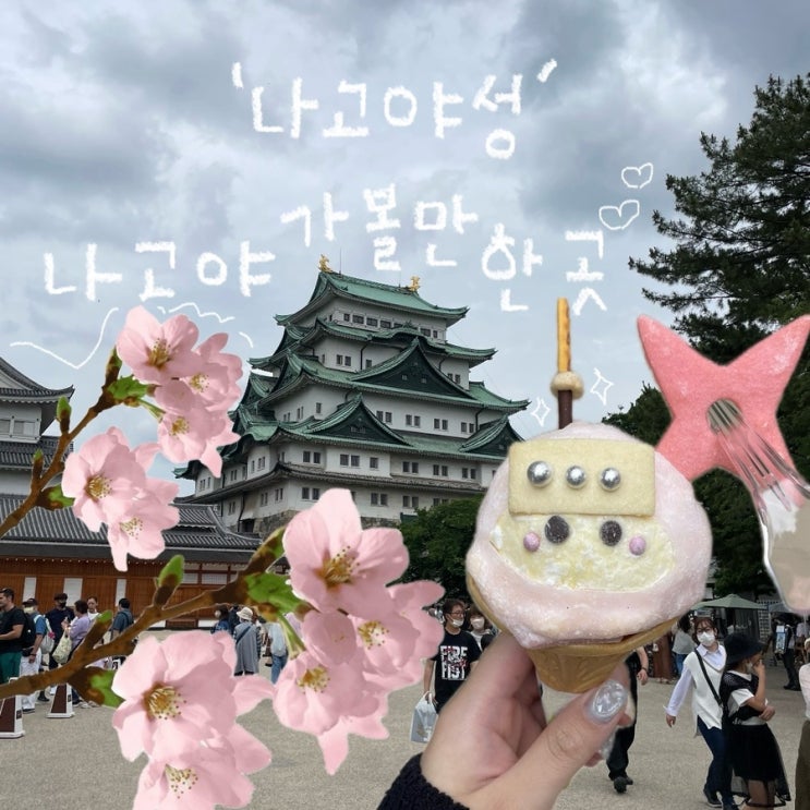 [일본] 나고야 가볼만한곳 '나고야성' 벚꽃축제 시기, 입장료