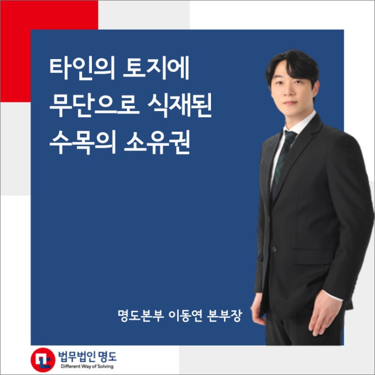  타인의 토지에 무단으로 식재된 수목의 소유권