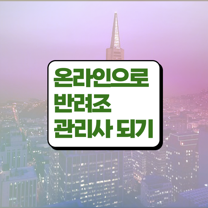  말하는 앵무새 가격 , 반려조관리사 자격증 학습 후 취득 방법 정리해드립니다