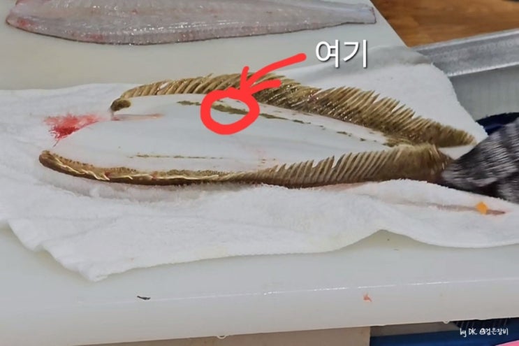  변산 맛집 격포항 수산시장 회센터에서 내돈내산 회포장 가격 주차 정보 공유