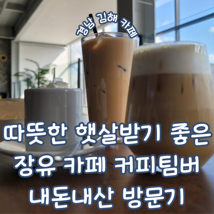 따듯한 봄날에 햇살 받기 좋은 경남 김해 장유 대청동 카페 커피팀버 내돈내산 방문기