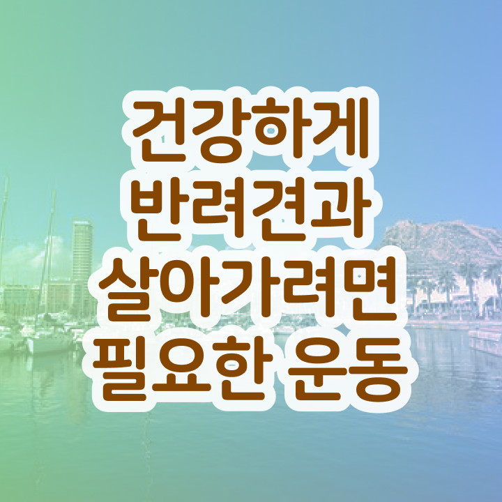  반려견운동지도사 인증 , 반려견운동지도사 자격증 취득 후기 알아볼까요