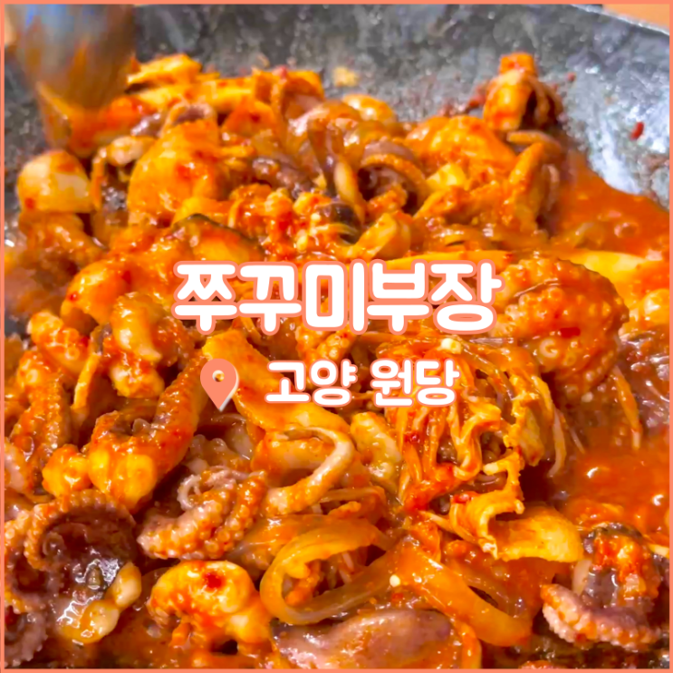 원당시장 맛집, 직접만든 마요네즈와 함께하는 쭈꾸미부장