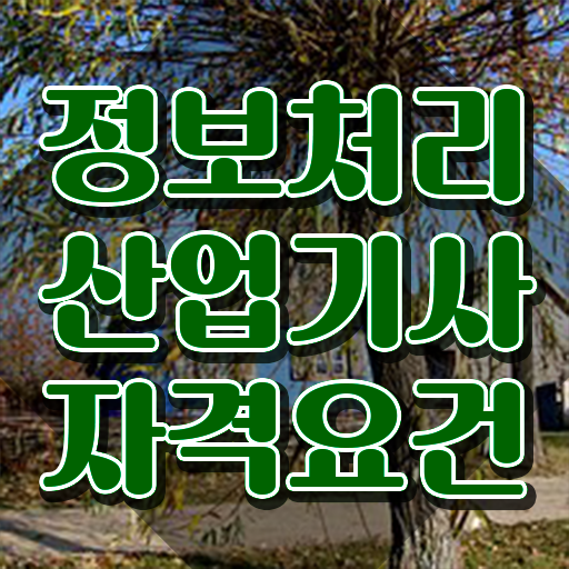  양쌤 품질경영기사 품질경영기사 취득 자격 알아볼까요