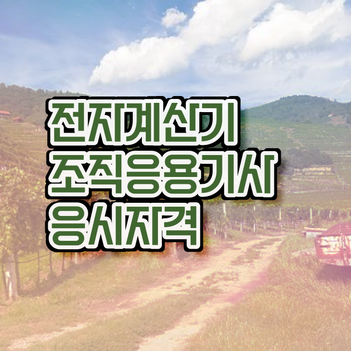  전자계산기조직응용기사 실기 전자계산기조직응용기사 자격증 응시자격 쉽게 준비하는 법
