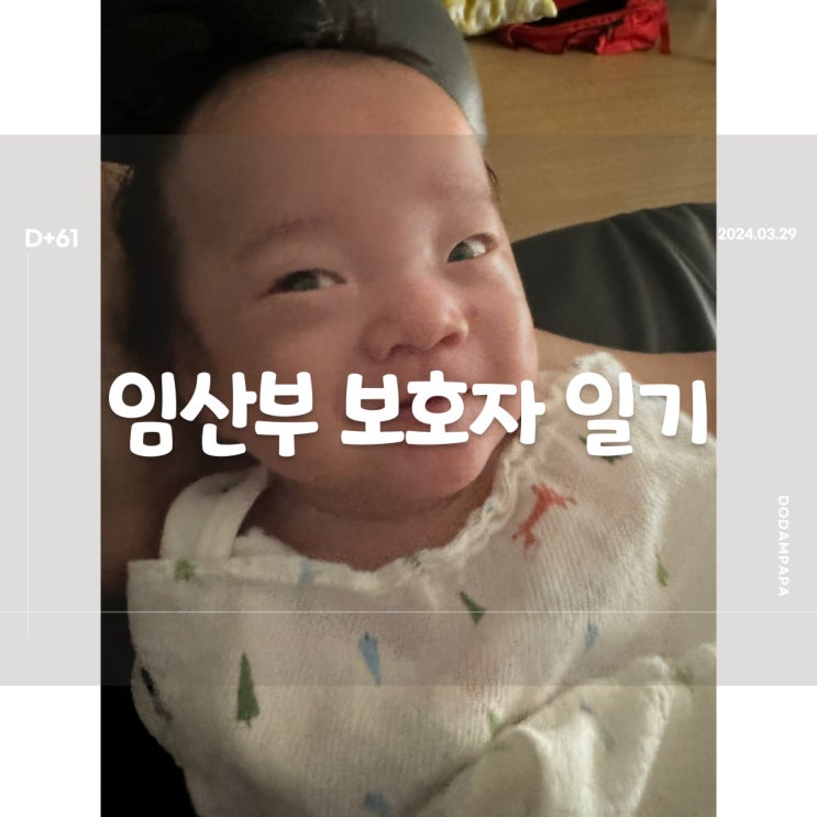 2024.03.29 임산부 보호자 일기 D+61일 2024.03.29 임산부 보호자 일기 D+61일