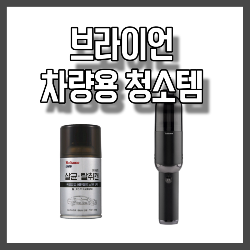 전참시 브라이언 차량용 청소기 연막 탈취제 차 세차용품