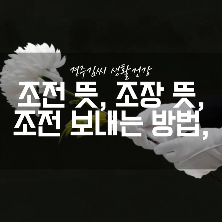  조전 뜻, 조장 뜻, 조전 보내는 방법, 조전 문구 예시
