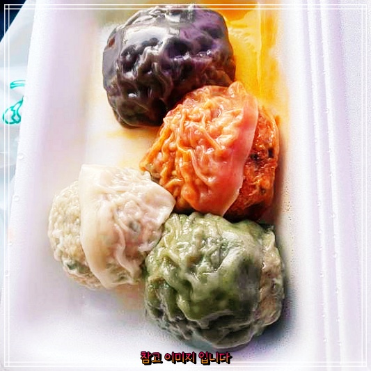  생생정보 믿고떠나는스타의고장 고두심 4색만두 흑돼지만두 맛집 제주 제주공항 동문시장 장인의집 제주 손흥민 문어만두 전복만두 솔직 후기 및 리뷰