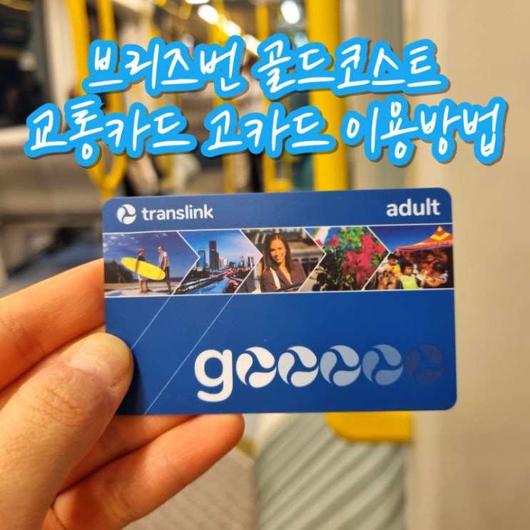  호주 브리즈번 골드코스트 교통카드 고카드 구매 충전 환불 이용 방법
