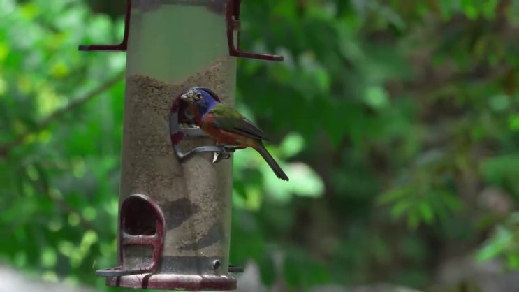  소음진동기사 전망 소음진동기사 자격증 단기 취득법 빠르게 합격하려면