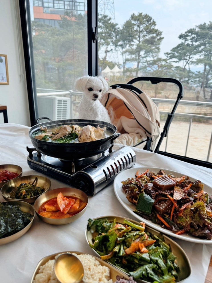  남양주 애견동반식당 버드나무집 본점 한강뷰 백숙 추천