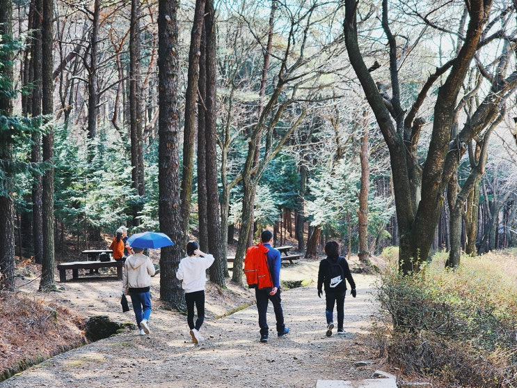 김포 가볼 만한 곳 문수산산림욕장 산책