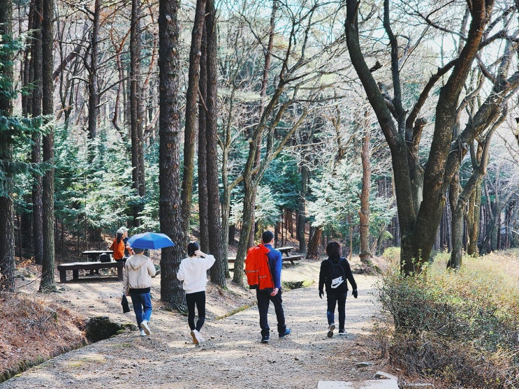 김포 가볼 만한 곳 문수산산림욕장 산책 김포 가볼 만한 곳 문수산산림욕장 산책