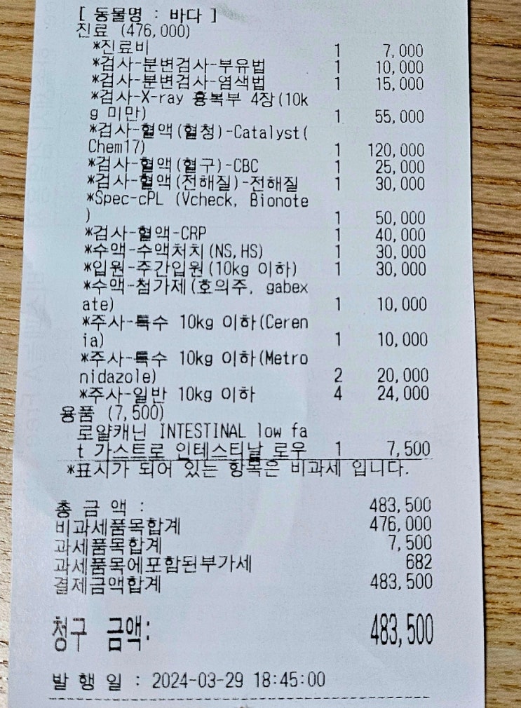  강아지 췌장염 검사비용, 초기증상 발견 후 병원 입원 했어요