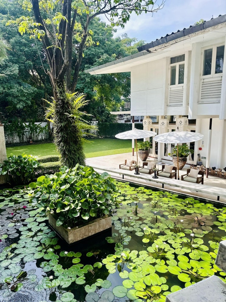 [방콕여행] 태국여행 필수코스 오아시스 스파 스쿰빗31 마사지 샤워, 셔틀, 예약방법 후기