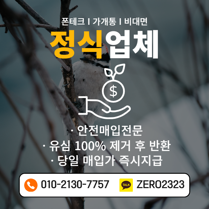  도봉비대면가개통 정식업체에서