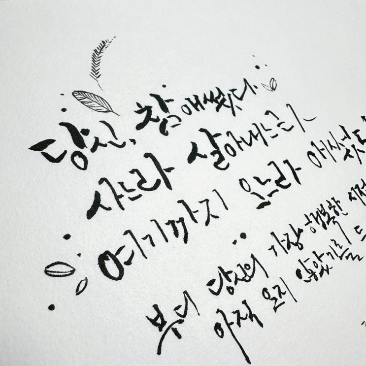  위로가 되는 문장 캘리그라피 쓰기