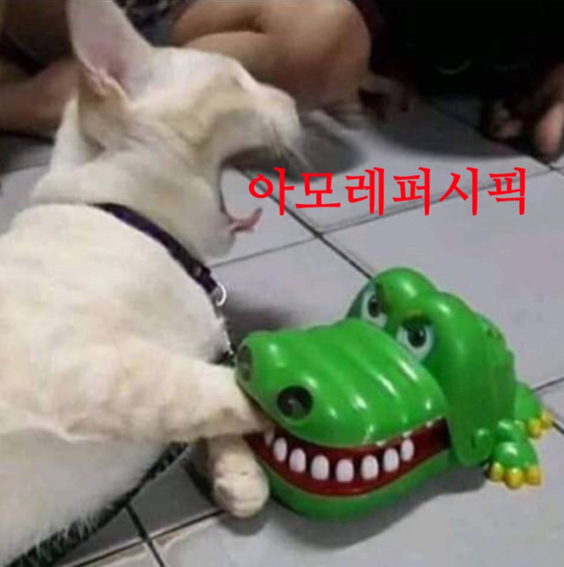아모레퍼시픽 주가 배당금 배당일은 언제?