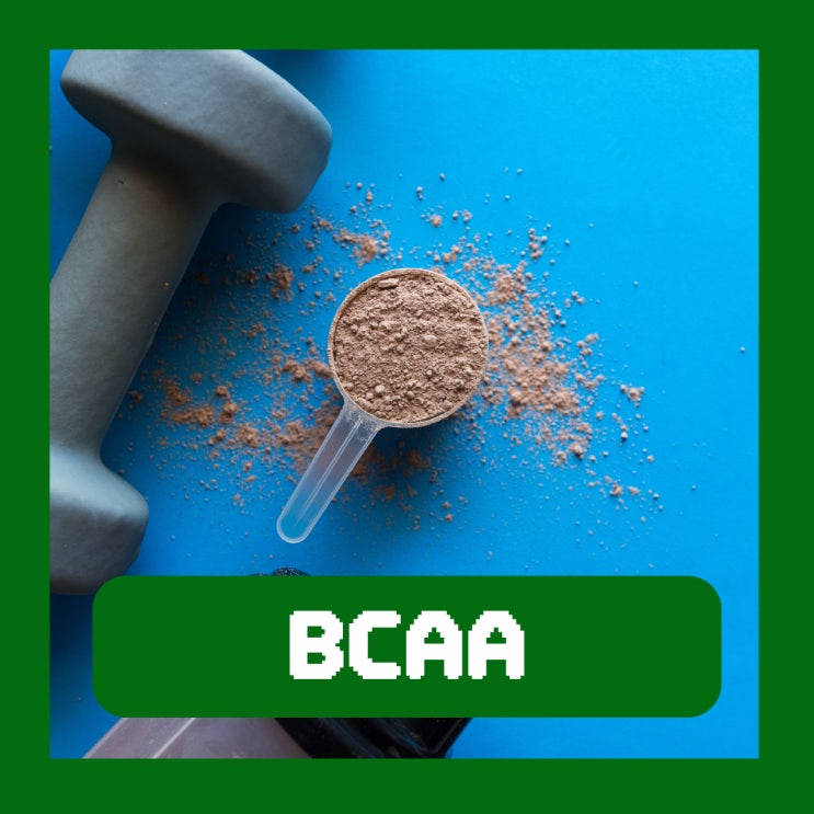  BCAA 효과 단백질 부작용 프로틴 제품 주의사항