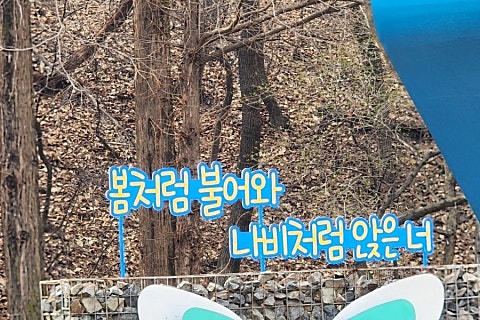 새단장봄단장 이미지