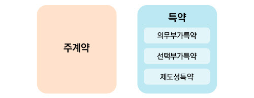 보험 들 때, 이런 특약도 꼭 챙겨라