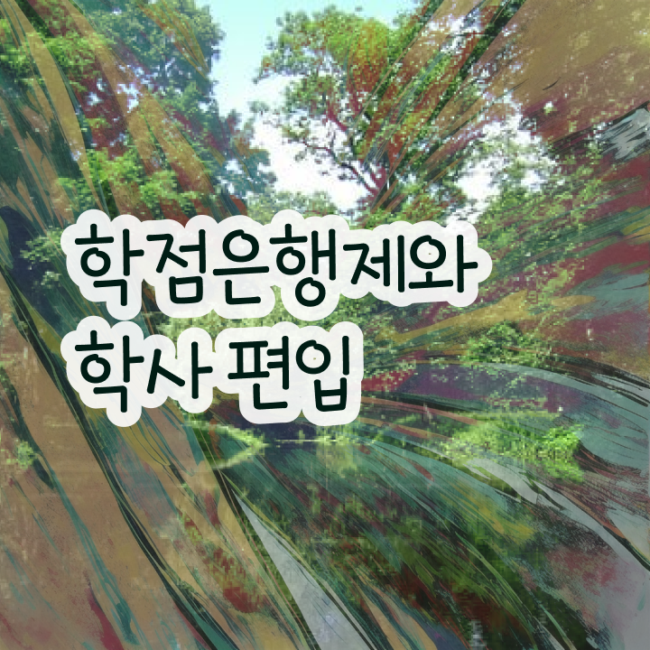  학점은행제수강 학점은행제 과목 핵심 정보