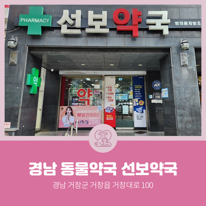 선보약국 사진 1