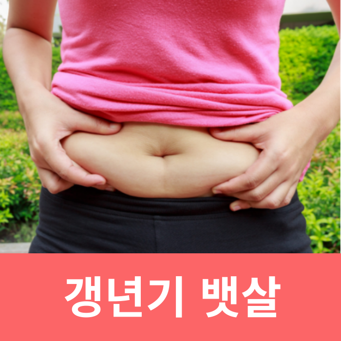  갱년기 뱃살 운동 빼는법 증상 알아보자