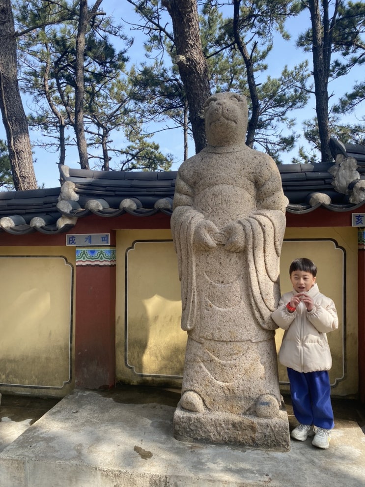  나무, 열매아빠 육아일기(96) - 2024년 첫 여행시작부산여행 출발, 쌍둥이돼지국밥, 해동용궁사.