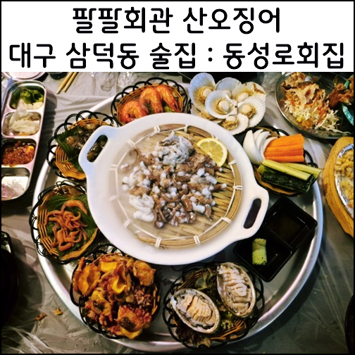  대구 삼덕동 맛집 팔팔회관 산오징어 삼덕동 술집 해산물 한상
