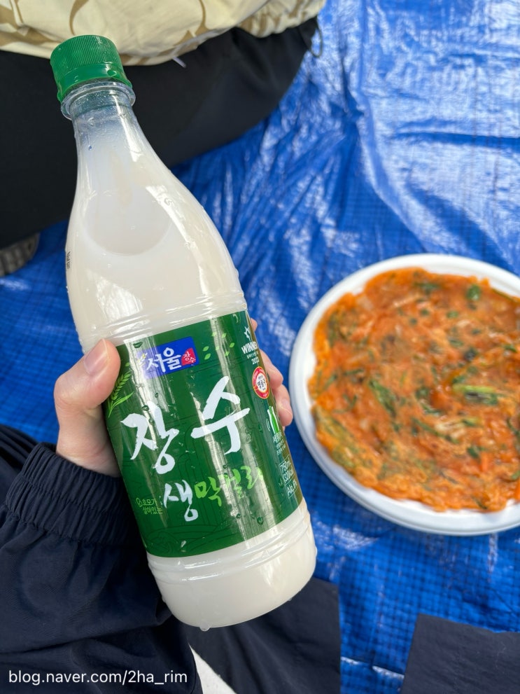  충훈부 벚꽃축제 3월 30일 개화 상황 (+주차장)