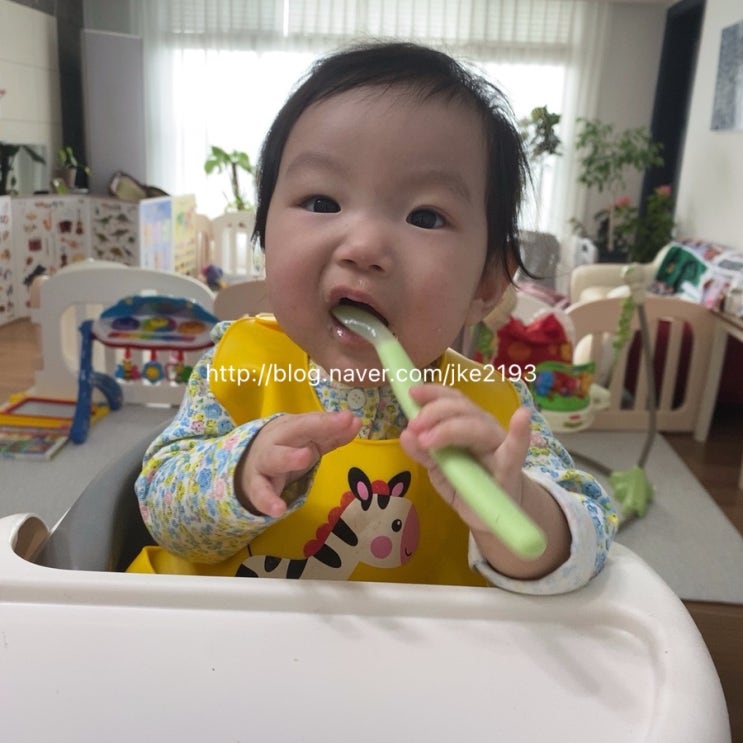  이른둥이 아기 이유식 D+180일부터 시작(1월 12일부터 시작)