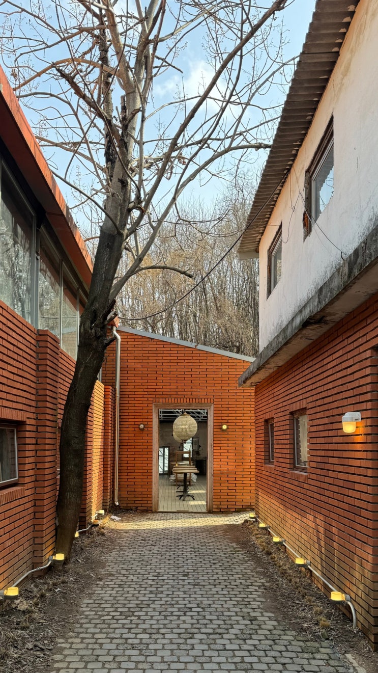  하남 카페 하우스플랜트 빈티지 가구와 고양이들 애견동반카페