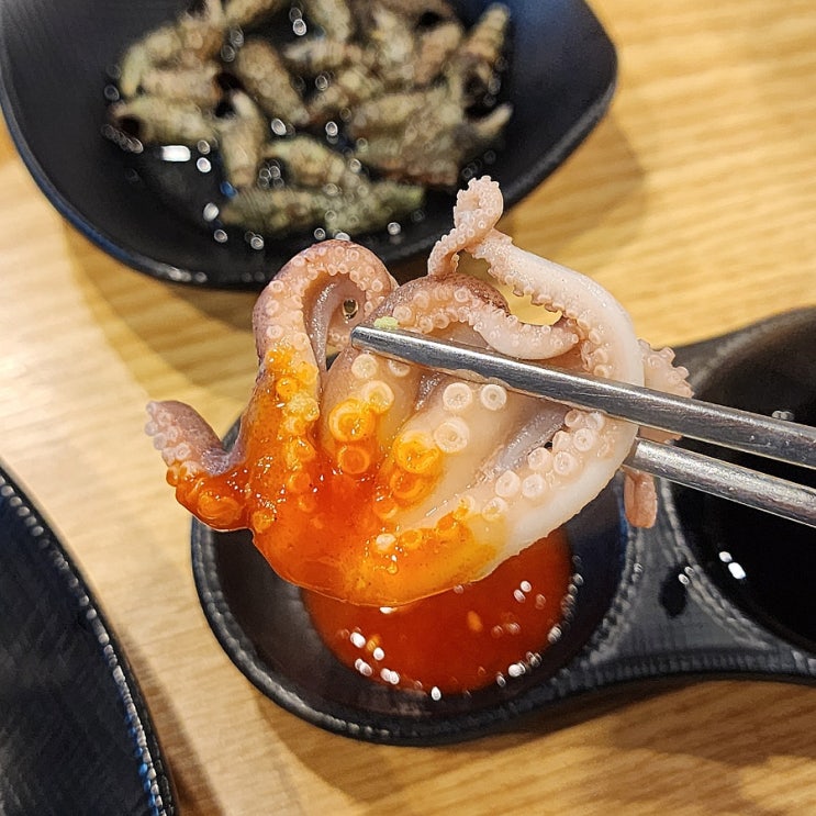  봄맞이 알배기 쭈꾸미 싱싱회관 부천회맛집
