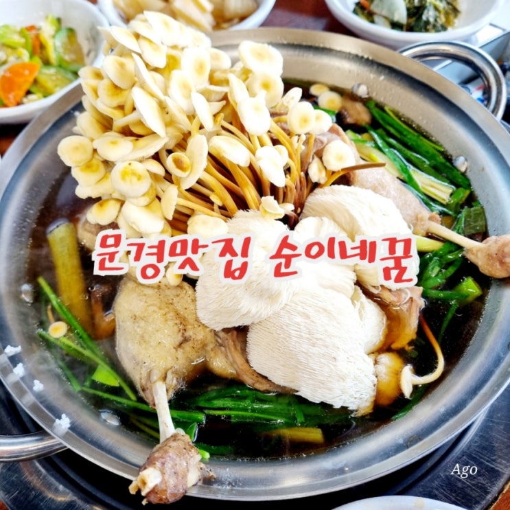  문경오리백숙맛집 추천 순이네꿈 feat 핵존맛 핵친절