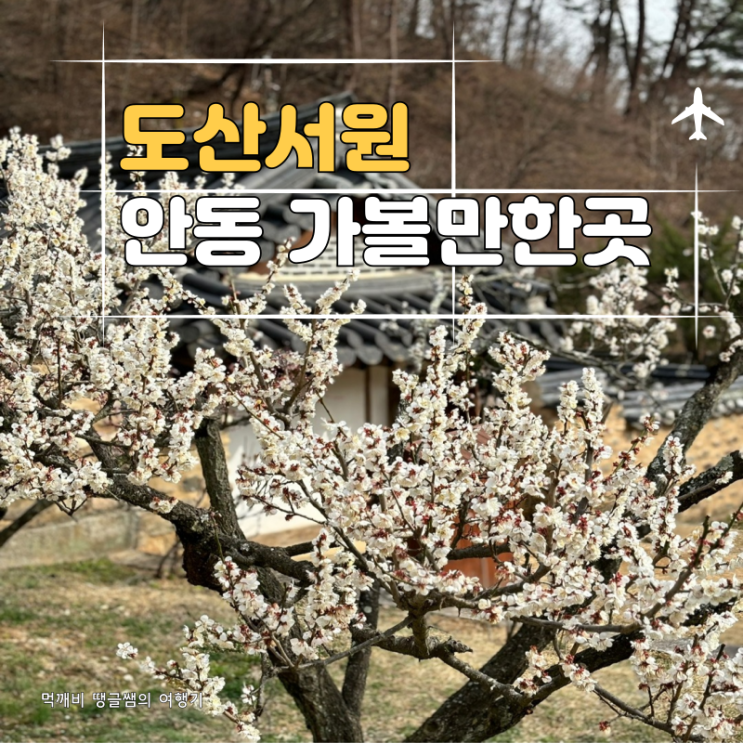  안동 가볼만한곳 봄꽃을 느낄 수 있는 안동 도산서원