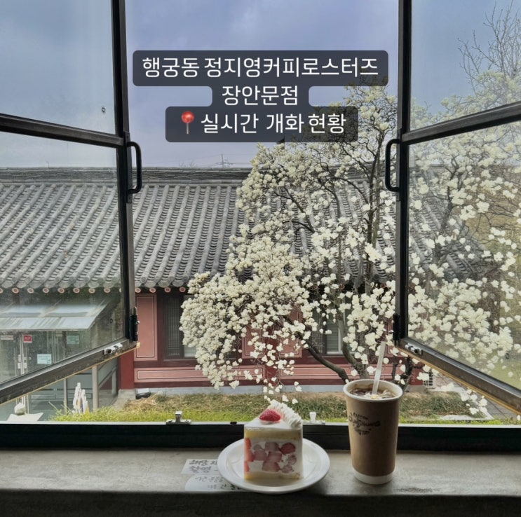  수원 행궁동 목련뷰카페 정지영커피로스터즈 장안문점