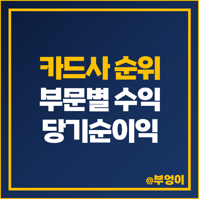 카드사 순위 국내 신용 카드회사 종류 이자 카드 수익 비교 카드사 순위 국내 신용 카드회사 종류 이자 카드 수익 비교