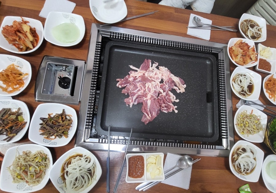 뚱오리 사진 5
