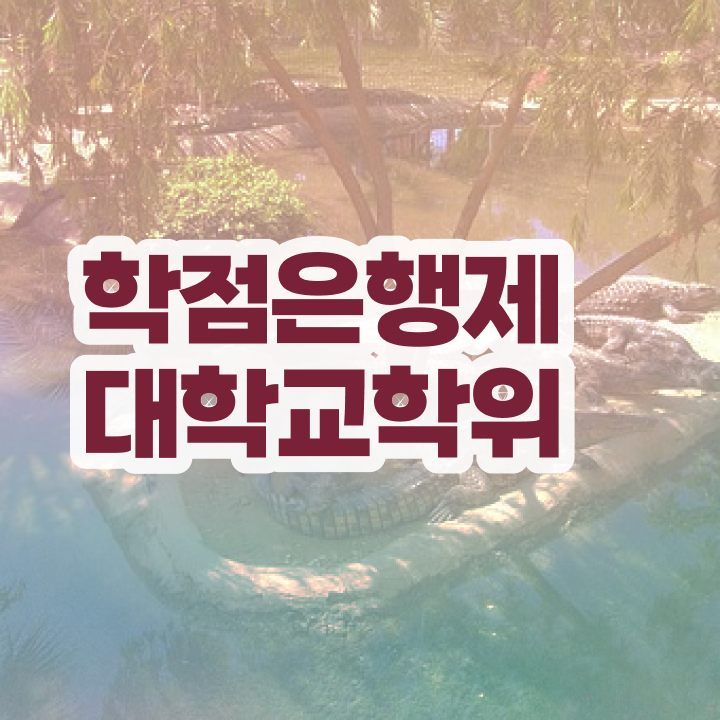 학점은행제 플래너 학점은행제 학위 취득 살펴보아요