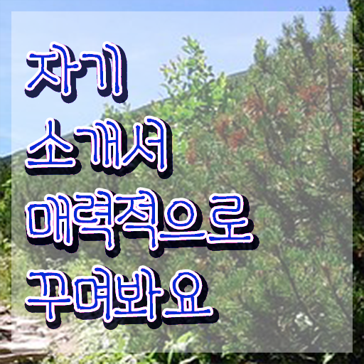  자소서자유양식항목 , 자기소개서지도사 자격증 온라인강의 무료, 독학으로 취득한 과정 정보 가득