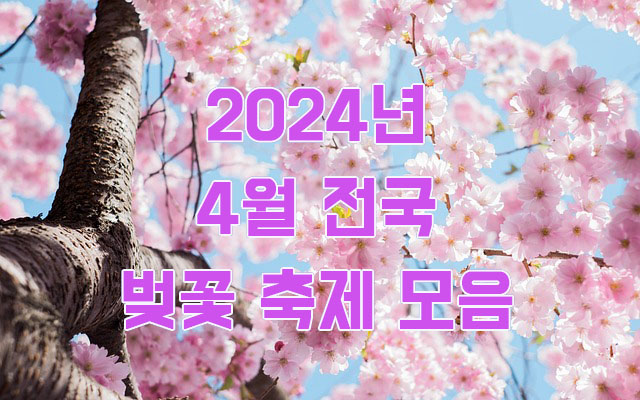 2024년 4월 전국 벚꽃 축제 모음