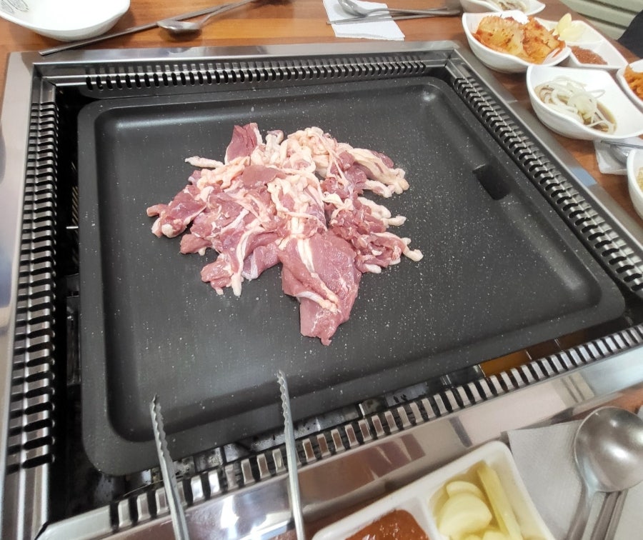 뚱오리 사진 6