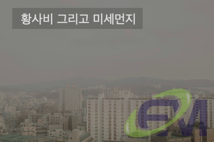 봄의 불청객 ' 황사비 , 미세먼지, 알레르기 '