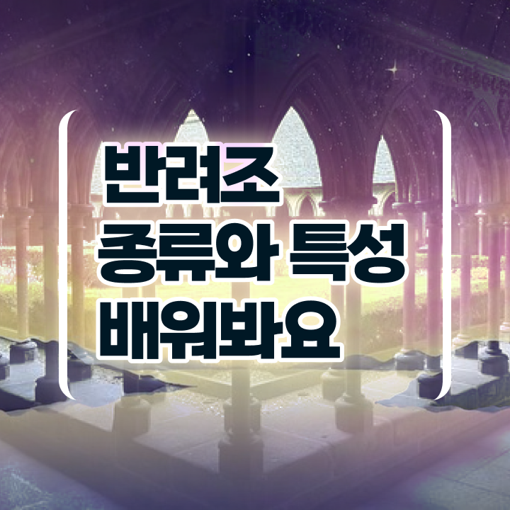  파인애플코뉴어앵무새 , 반려조관리사 자격증 1달 만에 시험준비 학습방법 확인
