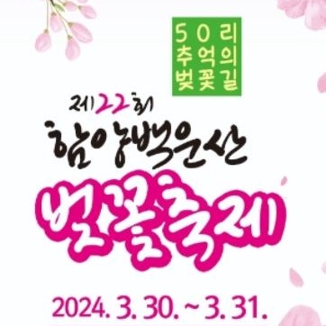 2024 함양 백운산 벚꽃축제 경남 꽃구경 주말 나들이 가볼만한곳 추천